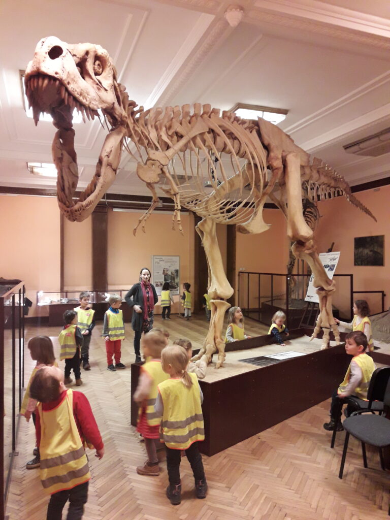 Przedszkole Montessori Chatka w Muzeum Historii Naturalnej