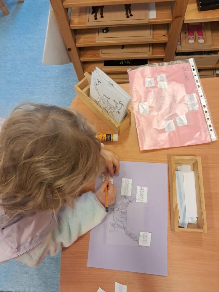 Pisanie w trakcie pracy własnej w przedszkolu Montessori - zajęcia Montessori dla Dzieci od 3 do 6 lat