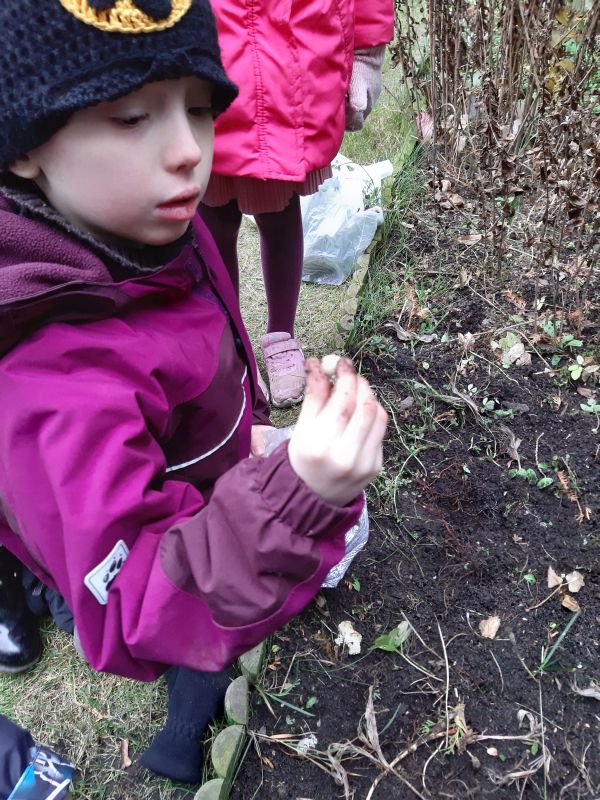 Ursynów przedszkole Chatka - obserwacja roślin
