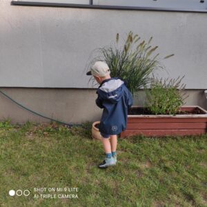 Przedszkole Montessori Warszawa - sadzenie roślin