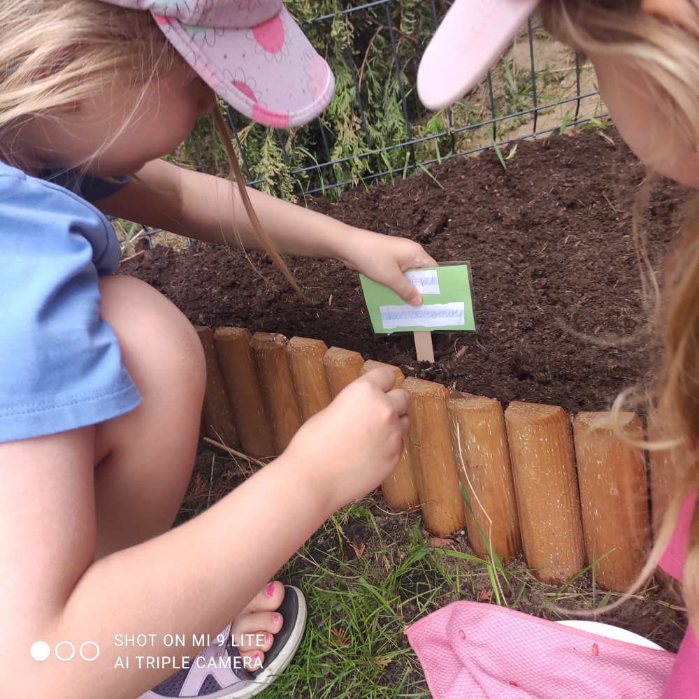 Warszawa - przedszkole Montessori - tutaj zobaczysz, jak budujemy współpracującą sspołeczność.