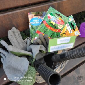 Przedszkole Montessori Warszawa - współpraca z Rodzicami w pielęgnowaniu ogrodu